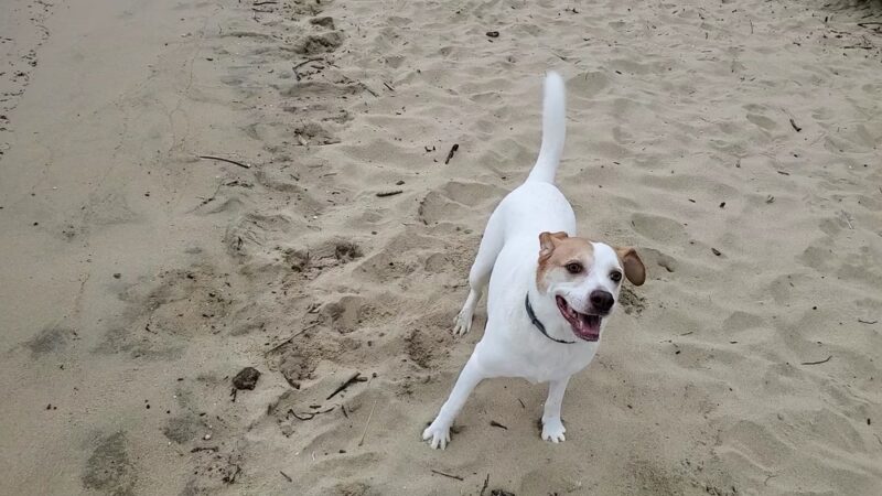 Beverly Triton Nature Park - Edgewater, MD