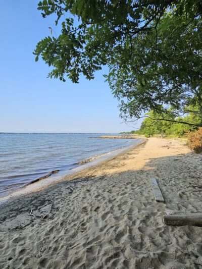 Beverly Triton Nature Park - Edgewater, MD