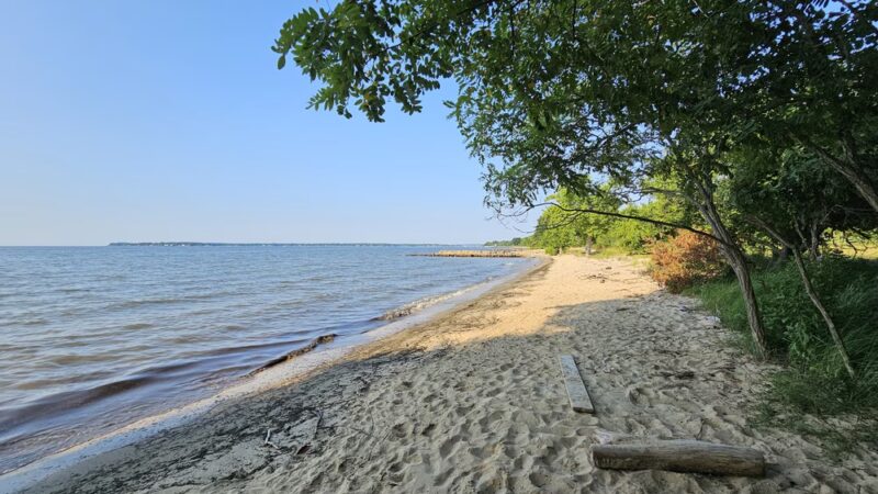Beverly Triton Nature Park - Edgewater, MD