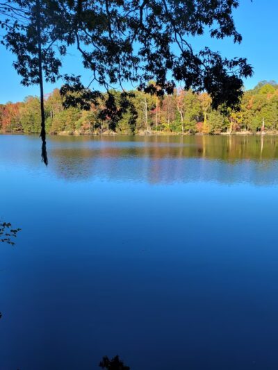 Beverly Triton Nature Park - Edgewater, MD