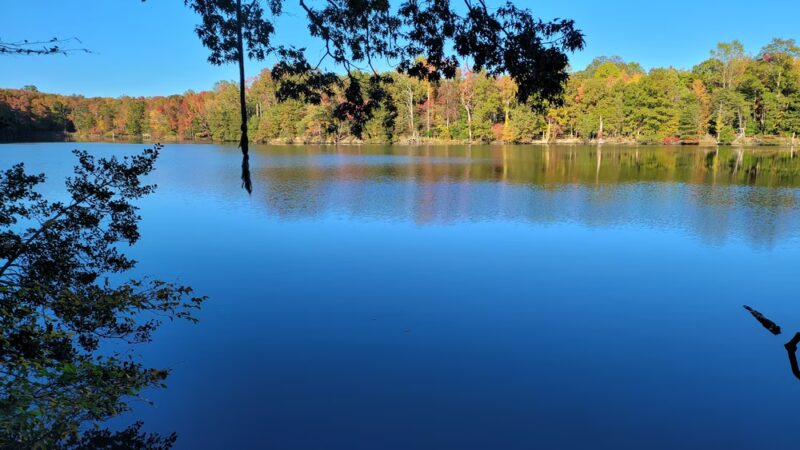 Beverly Triton Nature Park - Edgewater, MD