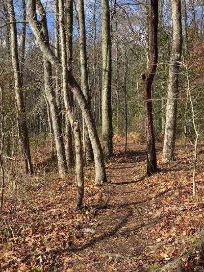 South River Farm Park - Edgewater, MD