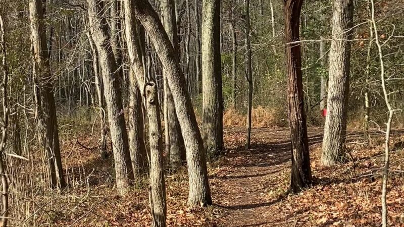 South River Farm Park - Edgewater, MD