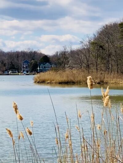 South River Farm Park - Edgewater, MD