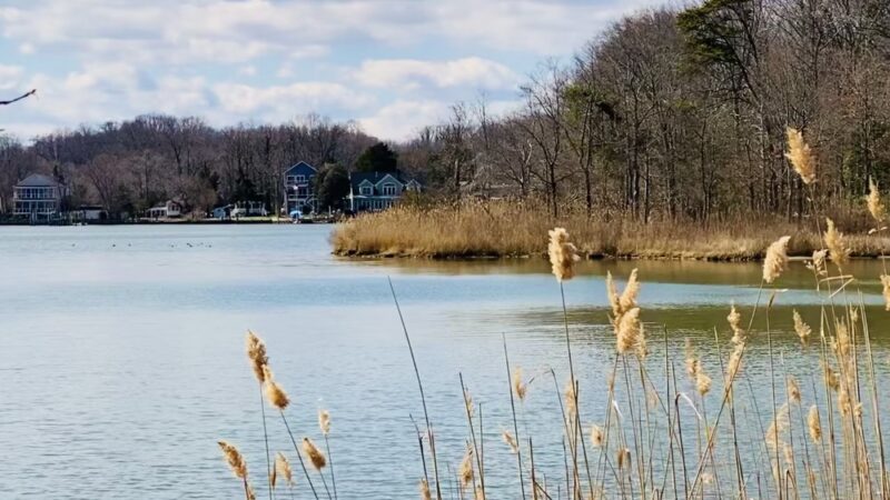 South River Farm Park - Edgewater, MD