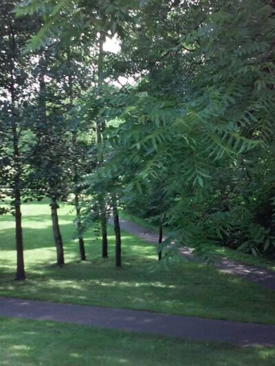 Fox Meadow Park - Edina, MN