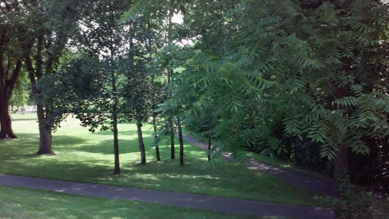 Fox Meadow Park - Edina, MN