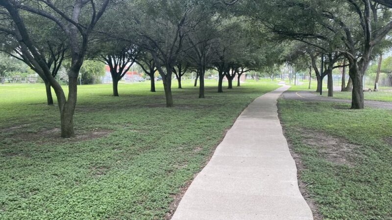 Cenizo Park - Edinburg, TX