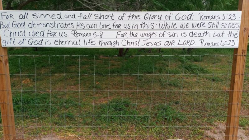 Cenizo Park - Edinburg, TX