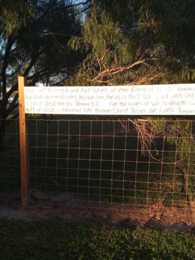 Cenizo Park - Edinburg, TX