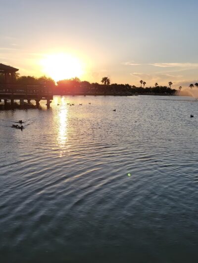 Edinburg Municipal Park - Edinburg, TX