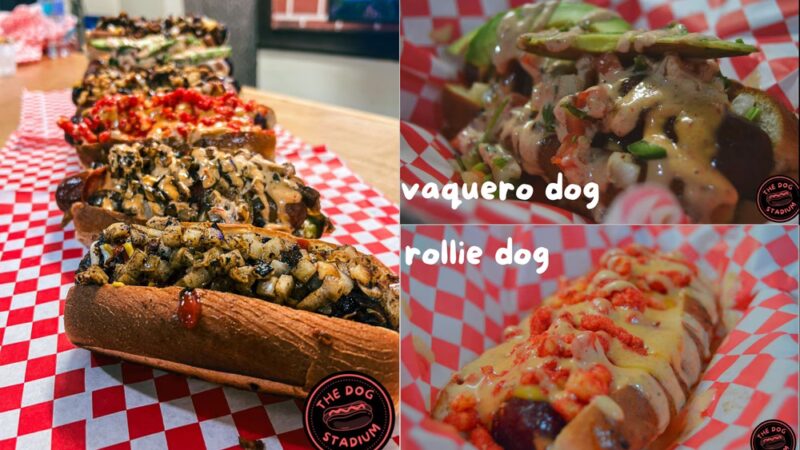 The Dog Stadium - Edinburg, TX