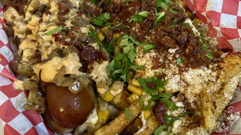 The Dog Stadium - Edinburg, TX