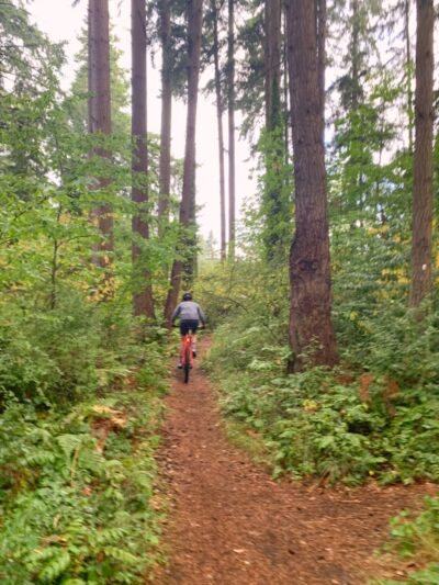 Esperance Park & Off Leash Dog Area - Edmonds, WA