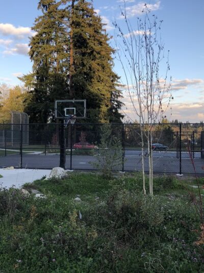 Esperance Park & Off Leash Dog Area - Edmonds, WA