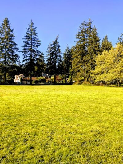 Esperance Park & Off Leash Dog Area - Edmonds, WA