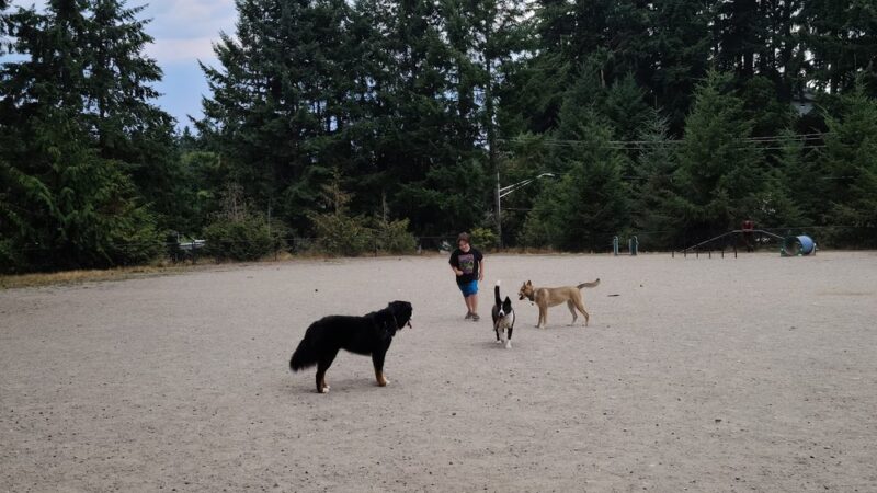Lynndale Off-leash Dog Area - Edmonds, WA