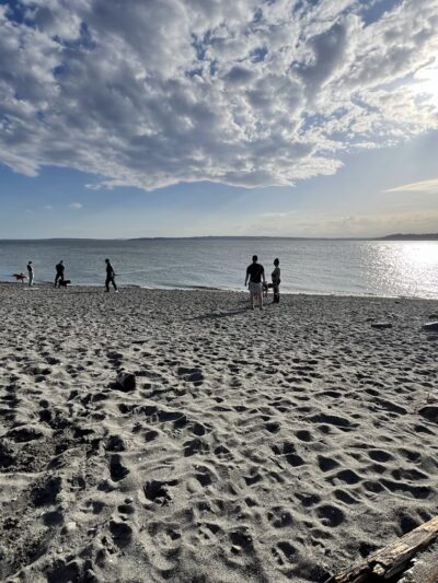 Off Leash Area Edmonds - Edmonds, WA