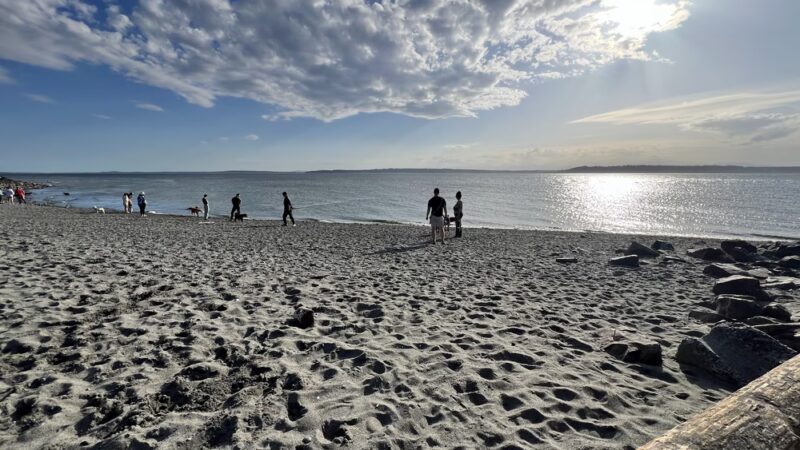 Off Leash Area Edmonds - Edmonds, WA