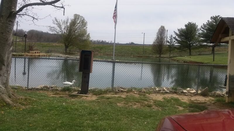 Bowling Park - Edmonton, KY