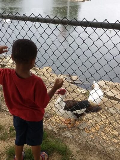 Bowling Park - Edmonton, KY