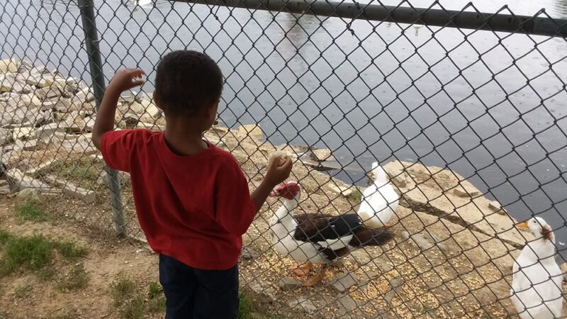 Bowling Park - Edmonton, KY