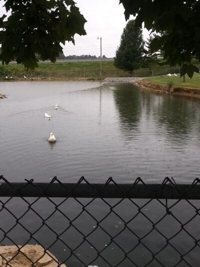 Bowling Park - Edmonton, KY