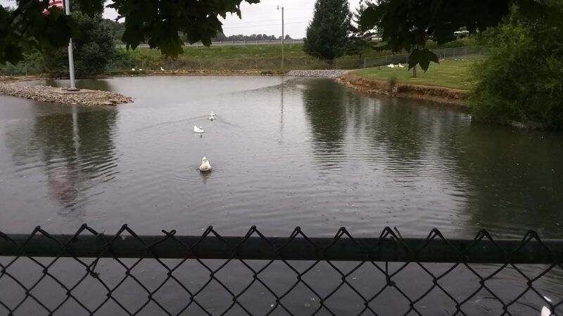Bowling Park - Edmonton, KY