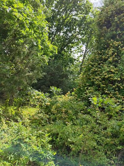 Atlantic County Bikeway - Egg Harbor Township, NJ