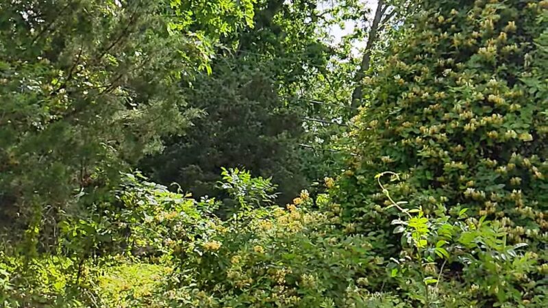 Atlantic County Bikeway - Egg Harbor Township, NJ