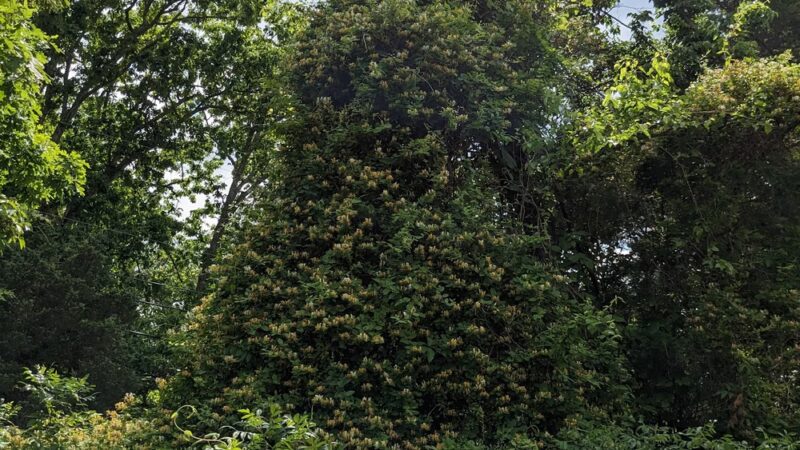 Atlantic County Bikeway - Egg Harbor Township, NJ