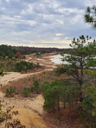 Egg Harbor Township Nature Reserve - Egg Harbor Township, NJ
