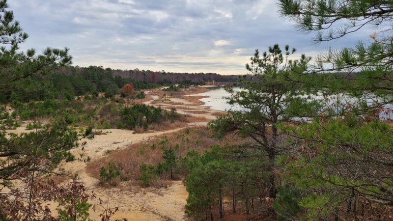 Egg Harbor Township Nature Reserve - Egg Harbor Township, NJ