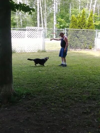 Harbor Hounds Dog Park - Egg Harbor, WI