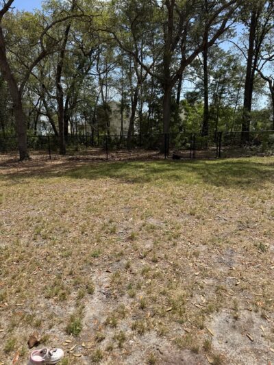 Eglin AFB Dog Park - Eglin AFB, FL