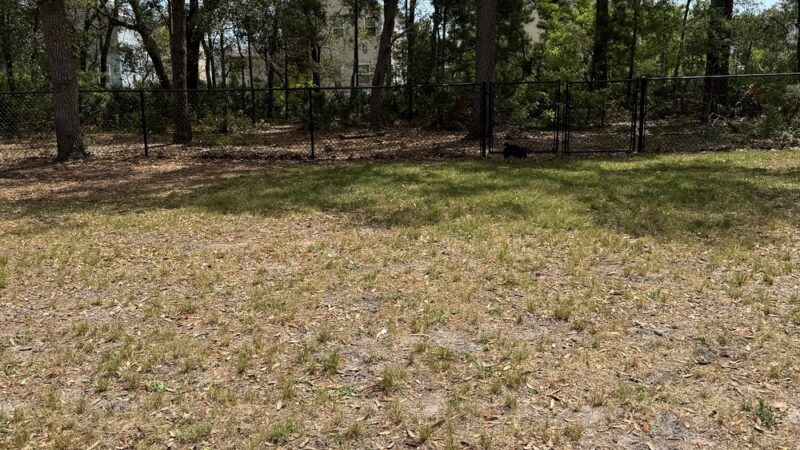 Eglin AFB Dog Park - Eglin AFB, FL