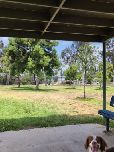 Canine Corners Park - El Cajon, CA