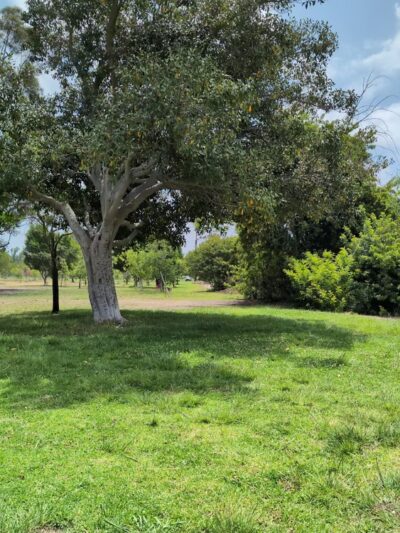 Canine Corners Park - El Cajon, CA