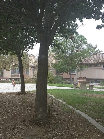 Fury Park - El Cajon, CA