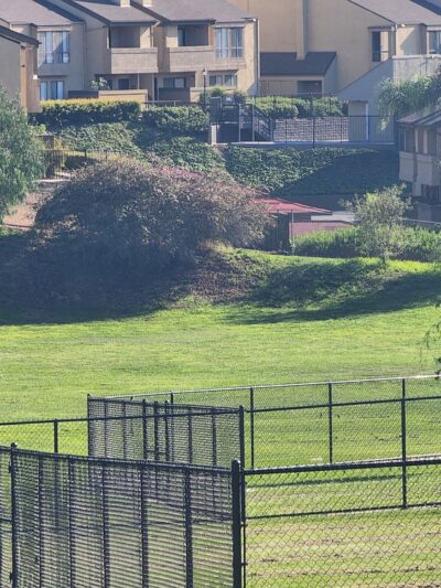 Lonny Brewer County Dog Park - El Cajon, CA