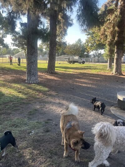 Wells Park - El Cajon, CA