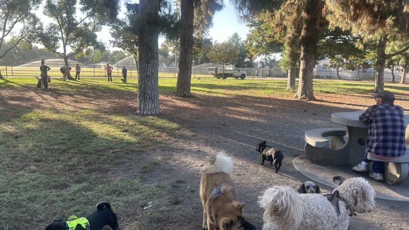 Wells Park - El Cajon, CA