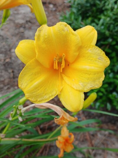 El Dorado Recreation Complex - El Dorado, AR