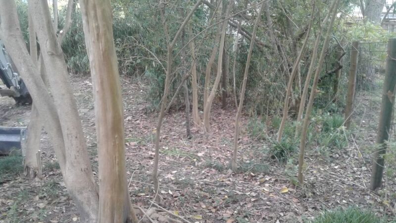 Mellor Park - El Dorado, AR