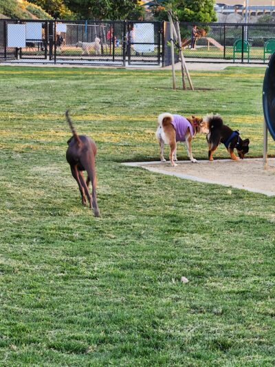 Fletcher Park - El Monte, CA