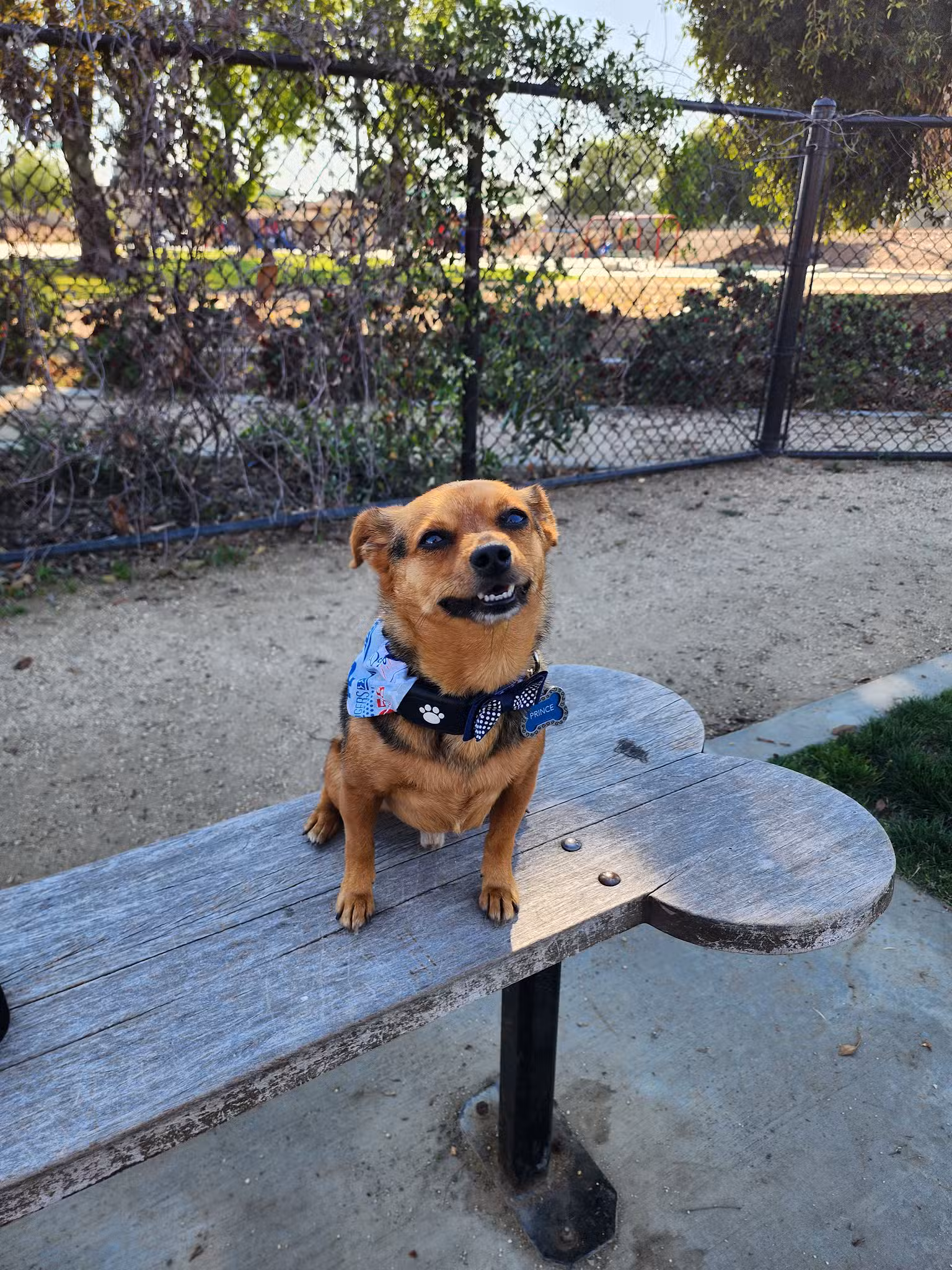 Fletcher Park - El Monte, CA