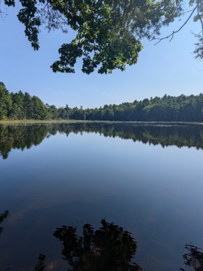 Hickok Brook Multiple Use Area - Eldred, NY