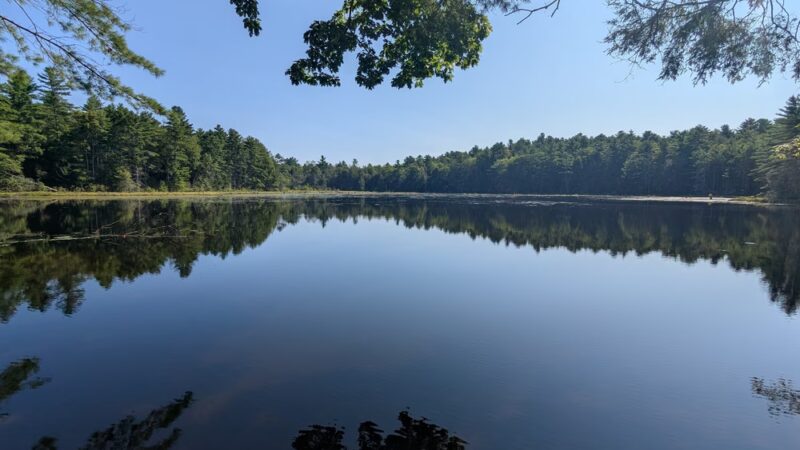 Hickok Brook Multiple Use Area - Eldred, NY