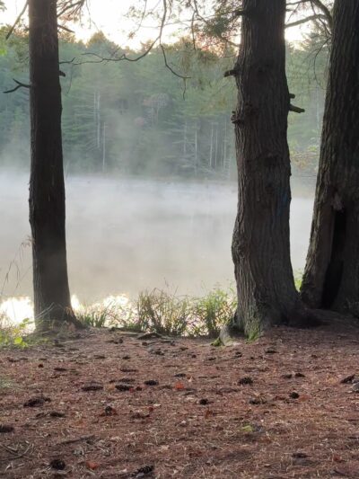 Hickok Brook Multiple Use Area - Eldred, NY