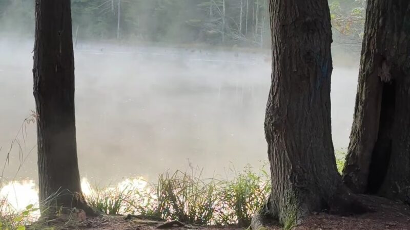 Hickok Brook Multiple Use Area - Eldred, NY